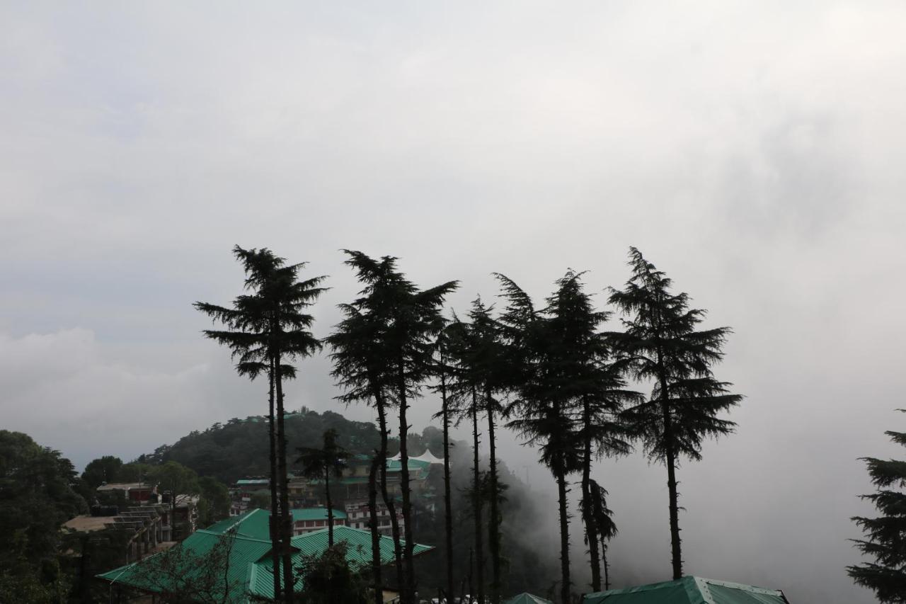 Pema Thang Hotel คางกรา ภายนอก รูปภาพ